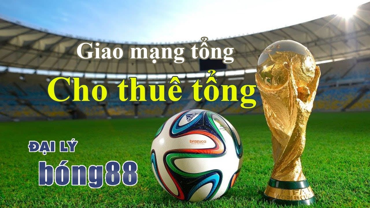 giao mạng tổng bong88 giao mạng tổng bong88
