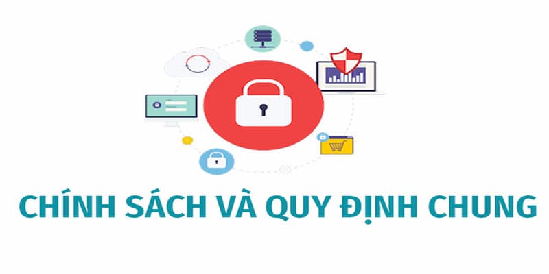Miễn trừ trách nhiệm 3 chính sách và quy định chung bong88