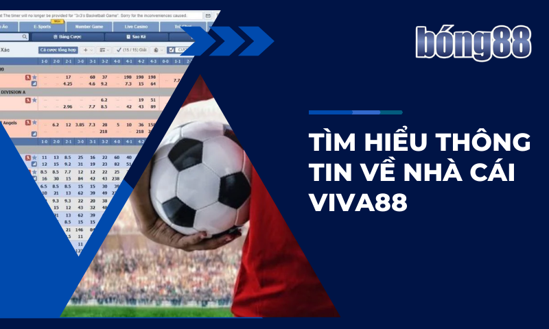 Tìm hiểu thông tin về hai nhà cái Viva88 Tìm hiểu thông tin về hai nhà cái Viva88